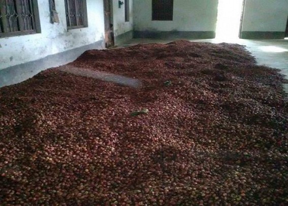 Kamalpur: Forest Department seized Boro elaichi (Big cardamom) worth 4, 75, 800 rupees Kamalpur: Forest Department seized Boro elaichi (Big cardamom) worth 4, 75, 800 rupees